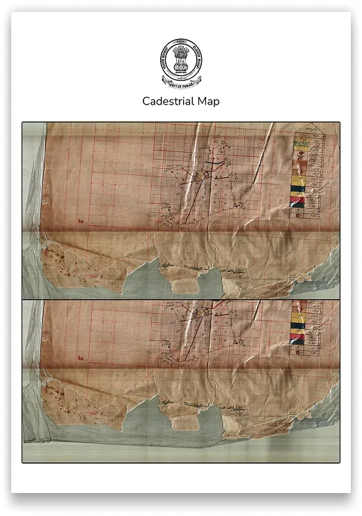 Punjab Cadastral Map